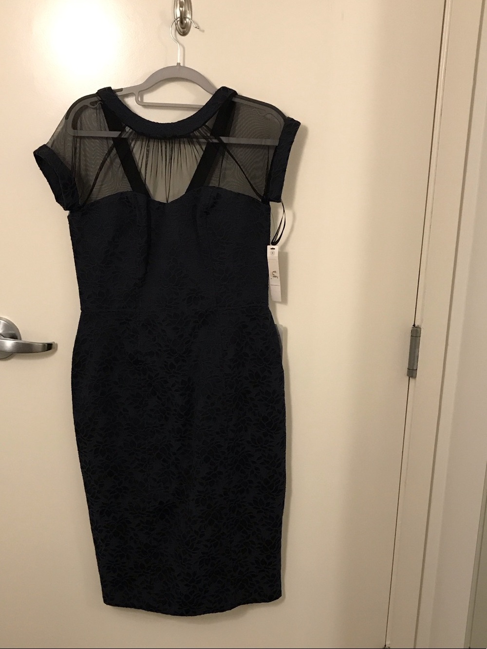 Sheer Yoke Navy Lace Sheath Dress